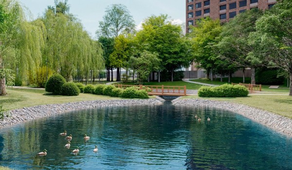 Началась реабилитация Кунцевских прудов на западе Москвы