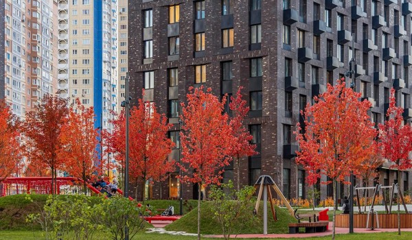 Собянин сообщил о планах комплексного развития территории в Академическом районе