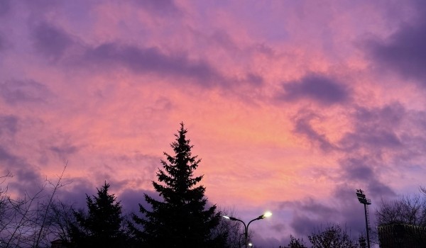 Синоптик Тишковец: Розовый рассвет предвещает ухудшение погоды в Москве