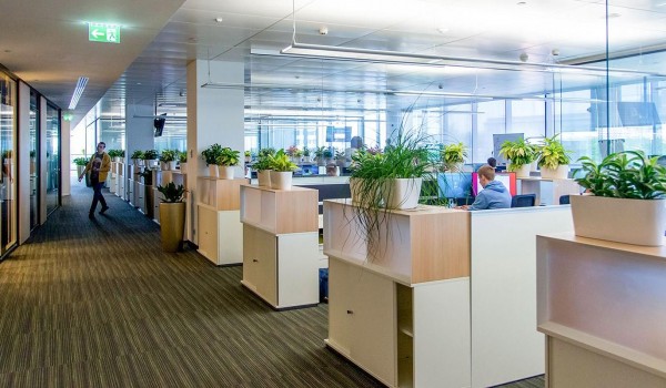 Инвесторы приобрели на торгах 68 объектов коммерческой недвижимости в САО за девять месяцев