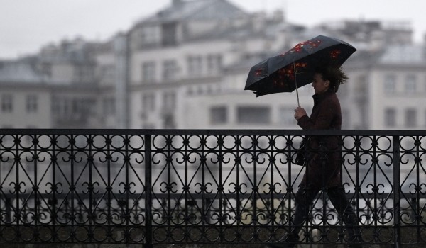 Городские службы Москвы предупредили об усилении ветра до 17 м/с в пятницу