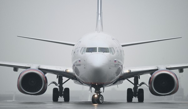 Аэроэкспресс, автобус, метро. Как добраться до столичных аэропортов?