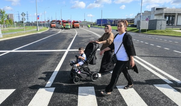 Ефимов: Улицы Валаамскую и Академика Королева соединят 7 км новых дорог