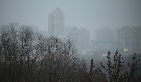 Облачная погода и до 1 градуса мороза ожидаются в Москве 20 ноября