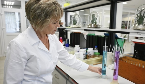 Геологи МГУ: 300 млн лет назад на территории Республики Коми обитали тропические и арктические организмы