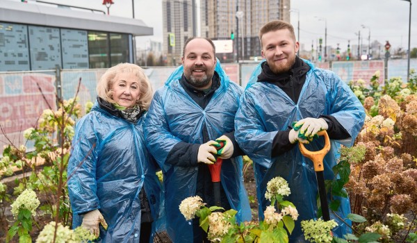 Высажено более 30 тыс. многолетников в разных районах Москвы