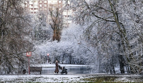 Росгидромет: Температура воздуха предстоящей зимой в Москве ожидается выше нормы