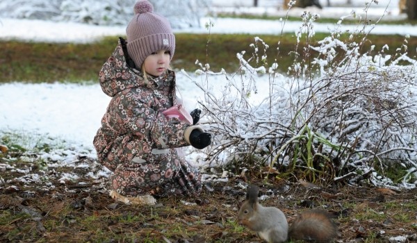 Синоптик Позднякова: Несвойственная для начала зимы погода сохранится до декабря в Москве