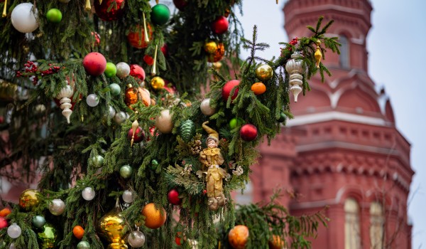 Новогодние ели устанавливают на центральных площадях Москвы