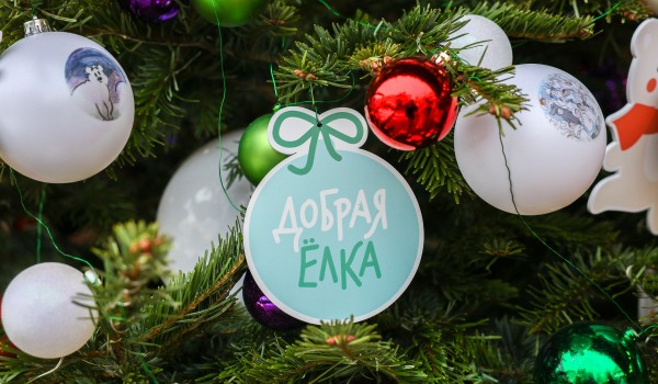 Акция «Добрая елка» в четвертый раз стартовала в Москве