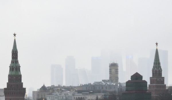 Синоптик Позднякова: Туманы вероятны в Москве до конца недели