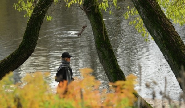 Стартовала реабилитация Щучьего пруда на юго-востоке Москвы