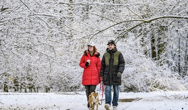 Синоптик Позднякова: Снежный покров сформируется в среду в Москве