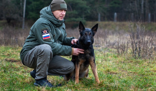 Зеленоград готовит служебных собак для работы в зоне СВО