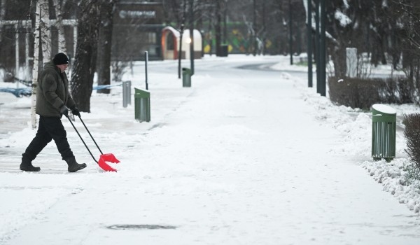 Синоптик Позднякова предупредила москвичей о возможных метелях в конце декабря