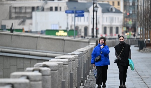 Синоптик Позднякова: Потепление придет в Москву 17 декабря