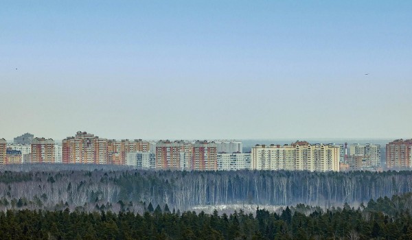 Собянин: Система ПВО уничтожила еще один летевший к Москве беспилотник