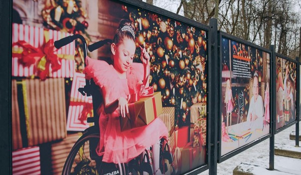 Москвичей приглашают посетить фотовыставку «Добрая елка» на Рождественском бульваре и в парке «Фили»