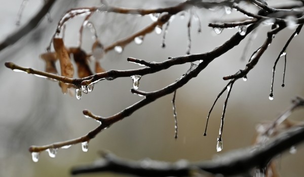 Москвичей предупредили о ледяном дожде в течение светового дня
