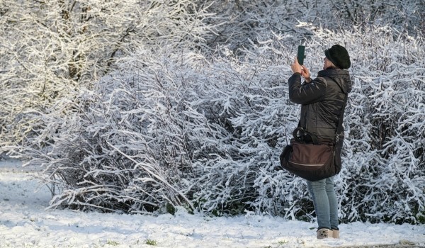 Облачная погода и до 2 градусов тепла ожидаются в Москве 18 декабря