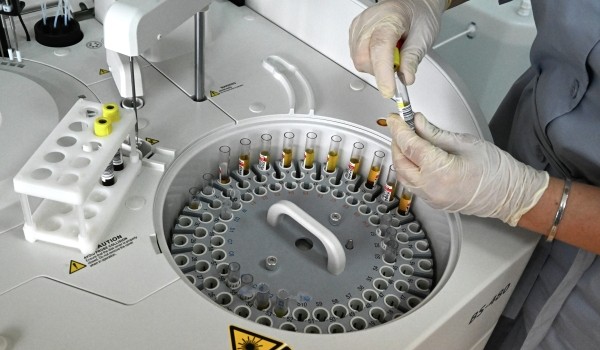 Свыше 10 стран приняли участие в III Международной экологической школе в МГУ