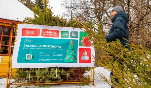 Городская акция по переработке новогодних деревьев начнется 2 января