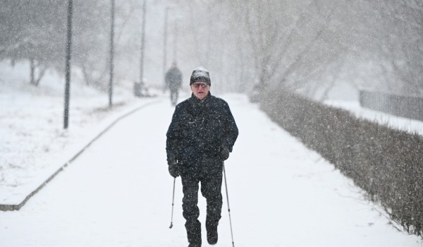 Синоптик Тишковец: Снегопады и рост снежного покрова до 8 см ожидаются в Москве в пятницу