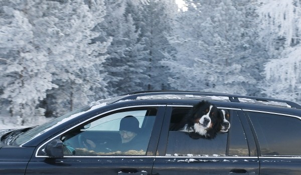 Суздаль, Тула и Клин. Куда отправиться в короткое путешествие на новогодние праздники из Москвы?