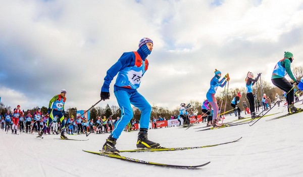 Свыше 46 тыс. москвичей занимаются лыжным спортом