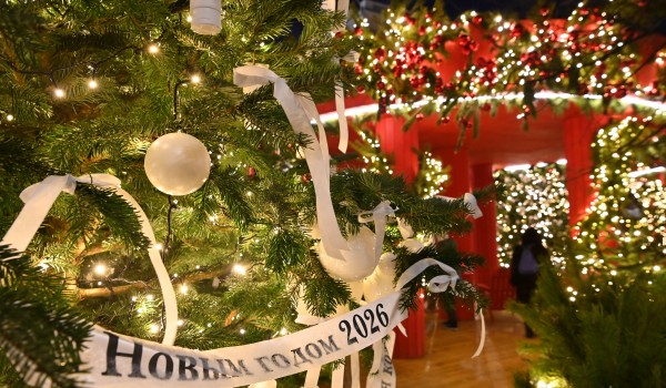 Фестиваль «Путешествие в Рождество» подготовил зимние каникулы