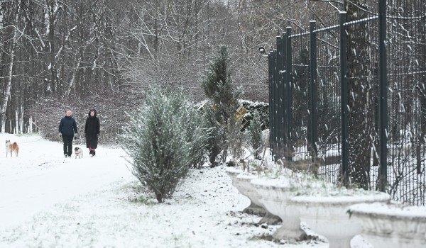 Синоптик Позднякова: Москвичей в новогодние праздники ожидает неустойчивая погода