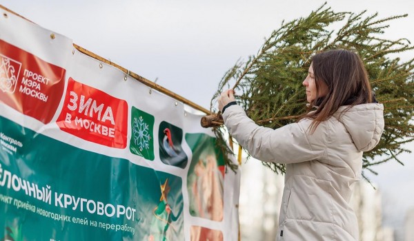 Акция «Елочный круговорот» продлится до 1 марта