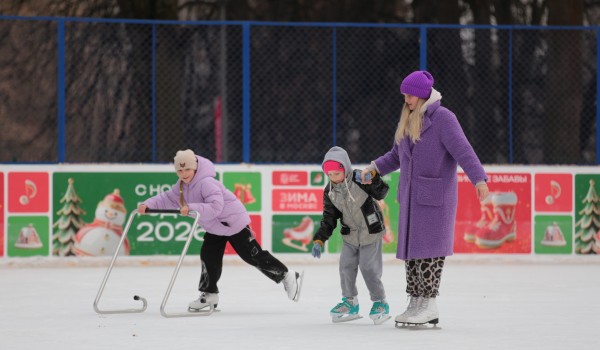 Соревнования «Всей семьей за здоровьем» состоятся 11 января в парке усадьбы Михалково