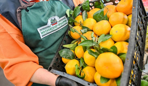 Жители Москвы передали свыше 1,5 т. мандаринов бойцам СВО и детям новых регионов