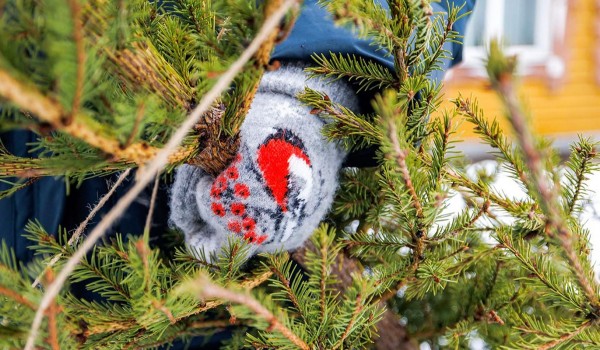 Москвичей приглашают поучаствовать в акции «Елочный круговорот» и получить городские баллы