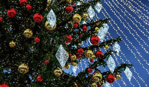 Как продлить жизнь новогодней елке и куда сдать ее после праздников?