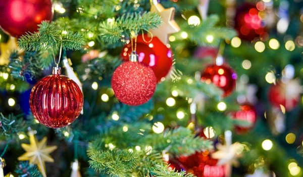 Сервис «Вывоз ненужных вещей» поможет сдать новогоднюю елку на экологичную утилизацию