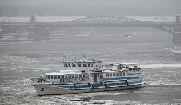 Ученые МГУ: Содержание микропластика в реках Московского региона минимально