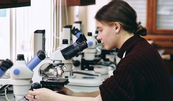 Свыше 11 тыс. москвичей прошли в заключительный этап олимпиады «Я — профессионал»