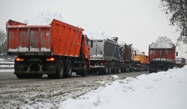 Почти 5 тыс. единиц техники задействовано в вывозе снега с улиц Москвы
