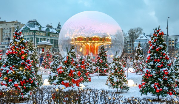 Зимний сад больницы им. Н.В. Склифосовского