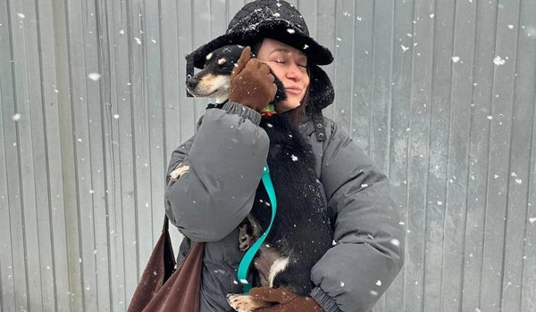 Больше 100 животных из городских приютов нашли новый дом за праздники