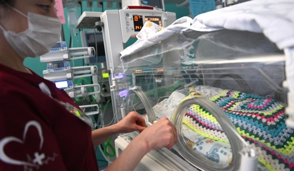 Анна и Михаил стали самыми популярными именами в 2025 году в Москве