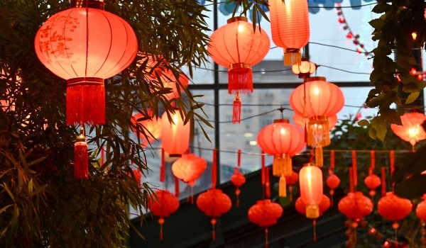 Светящиеся олени стали первой инсталляцией фестиваля Китайского Нового года в Аптекарском огороде