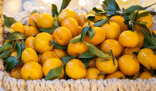 Москвичи купили 55 тонн мандаринов на московских ярмарках