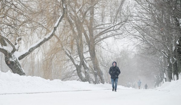 Облачная погода и до 12 градусов мороза ожидаются в Москве 26 января