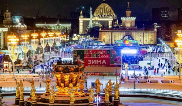 Собянин: Почти 1,3 тыс. катков работает в Москве в этом году