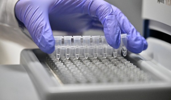 Физики МГУ усилили люминесценцию органических комплексов с европием