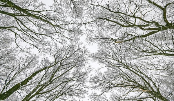 Синоптик Тишковец: Аномальные морозы в Москве сохранятся до пятницы