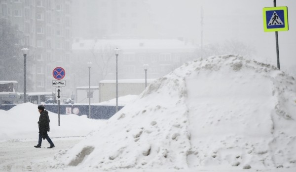 ЦОДД до конца года реализует более 600 проектов по безопасности пешеходов